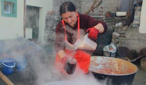 Bilecik'te yaşayan cennet hurması üreticisi Ayşe Nurcan Uçanok yılda 700
