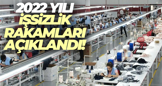 İşsizlik oranı 2022 yılında yüzde 10,4 oldu İşsiz sayısı 2022 yılında bir önceki yıla göre 337 bin