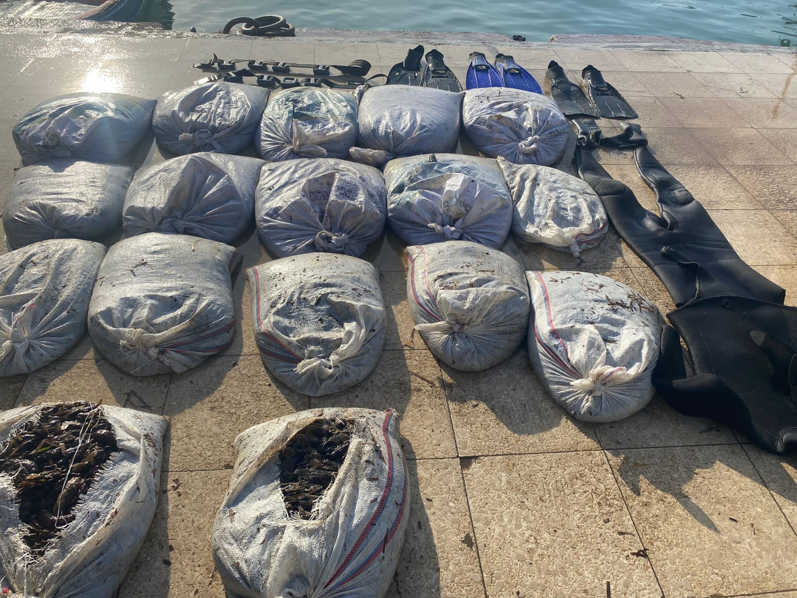 Ayvalık’ta Sahil Güvenlik’ten deniz patlıcanı operasyonu BALIKESİR (İHA) – Balıkesir’in Ayvalık ilçesinde, Sahil Güvenlik ekipleri yasa