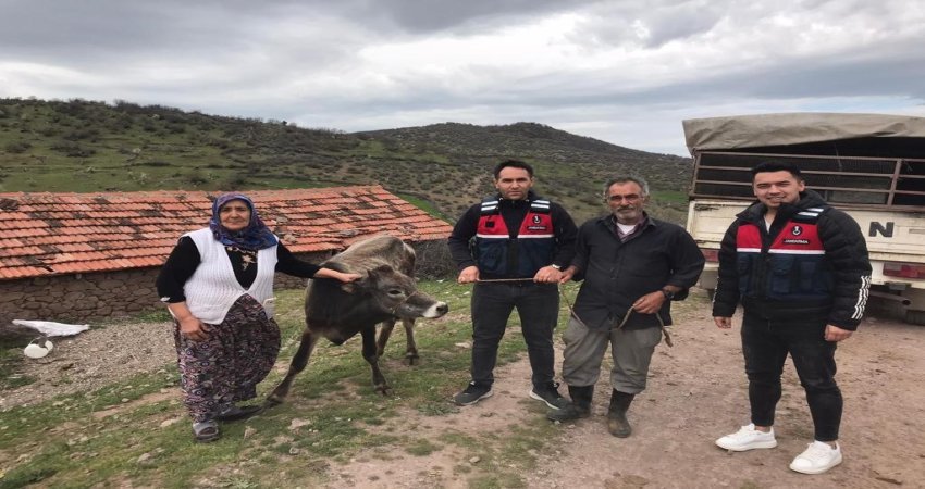 Kurbanlık hayvanı çalanları JASAT yakaladı Balıkesir’in Bigadiç ilçesinde yaşayan Ş.A.’ya ait hayvan damından kurbanda kesmek