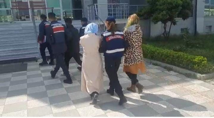 Balıkesir’in Gönen ilçesi Denizkent kırsal mahallesinde yazlık evlerde ve bağ