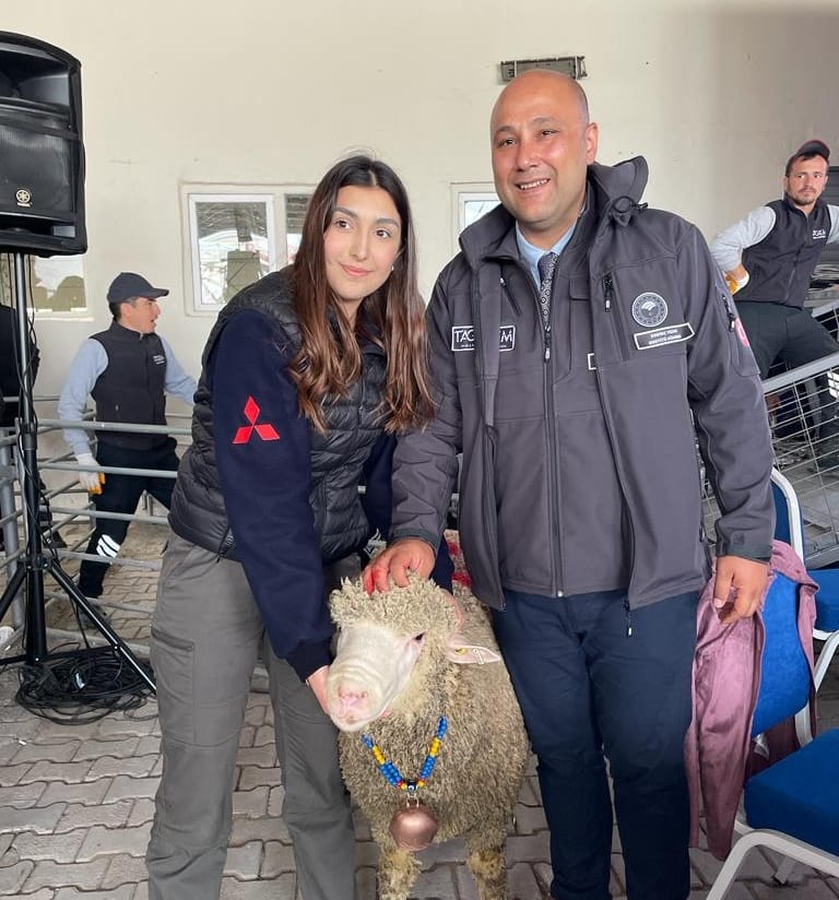 Karacabey Merinos ırkı koç rekor fiyata satıldı Balıkesir’in Bandırma ilçesinde 20 bin dönüm alanda faaliyet gösteren Koyunculuk