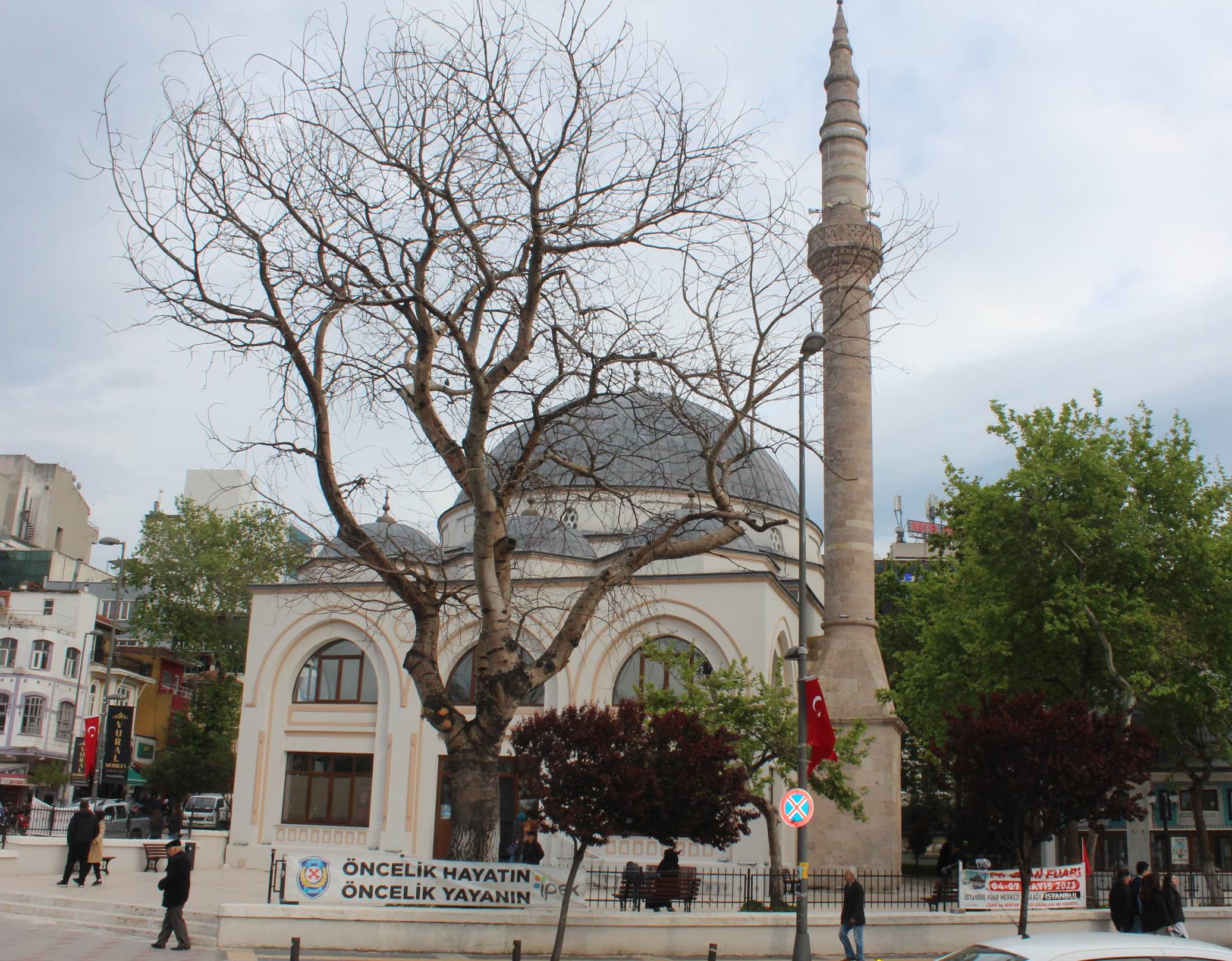 Haydar Çavuş Camii bahçesinde 100 yılı geçkin ulu bir ağacın