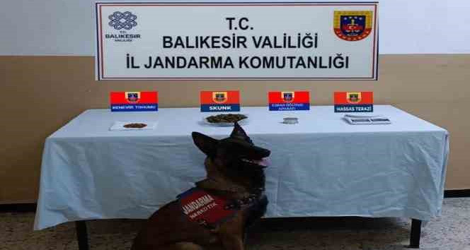 Balıkesir’de jandarma ekiplerinin il genelinde ayrı ayrı yaptıkları uyuşturucu ve