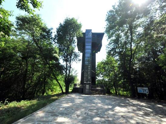 Bandırma ilçesinde, her yıl 266 türden 3 milyon kuşa ev