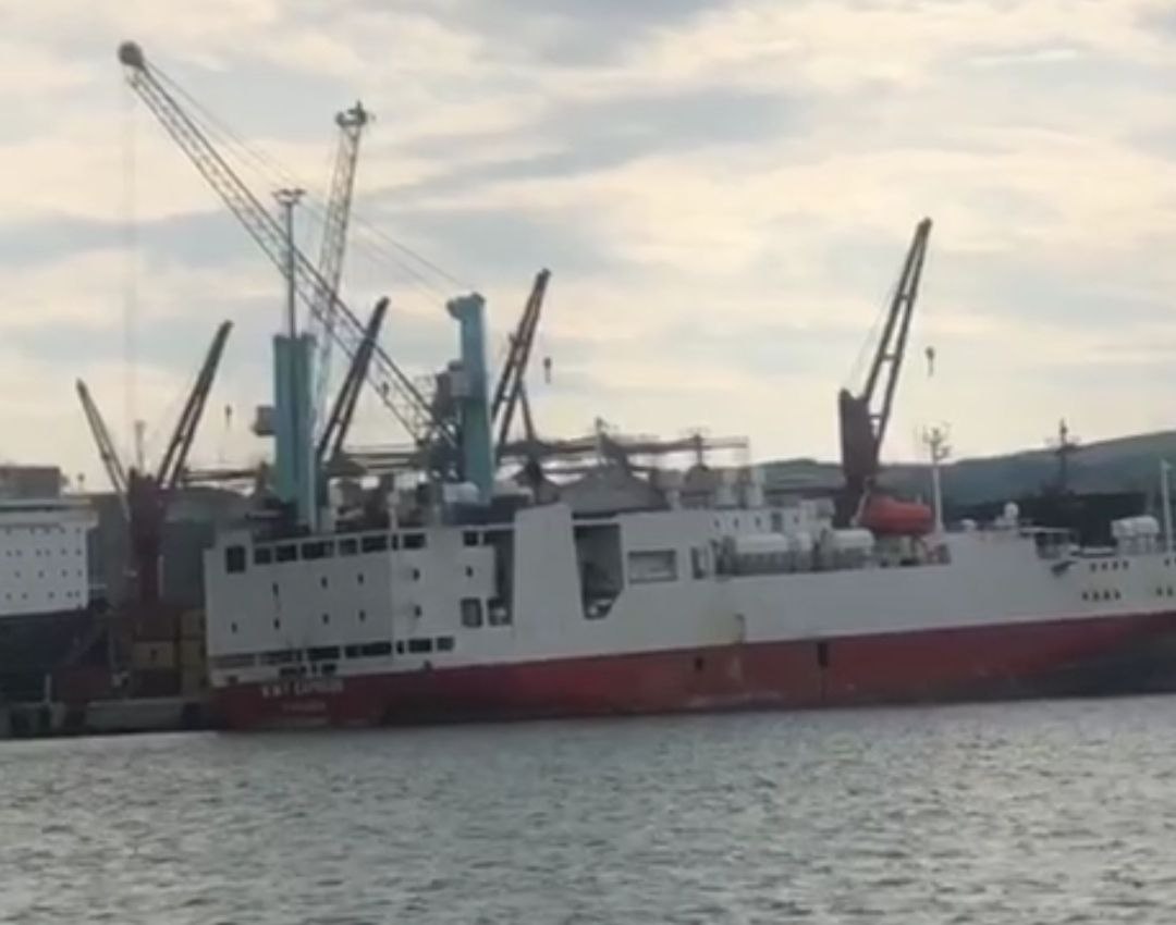  Tarım ve Orman Bakanlığı tarafından 500 bin baş canlı hayvan