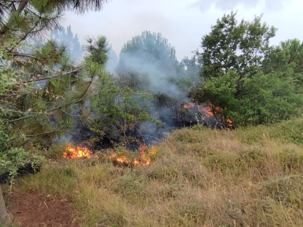 Balıkesir’in Bandırma ilçesine bağlı kırsal mahallesi olan Emreköy Mahallesi’nde sabah