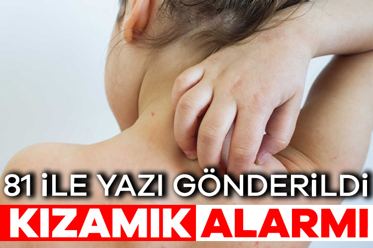 Türk Tabipleri Birliği’nin (TTB) açıklamasına göre Türkiye’de 2023 yılının ilk