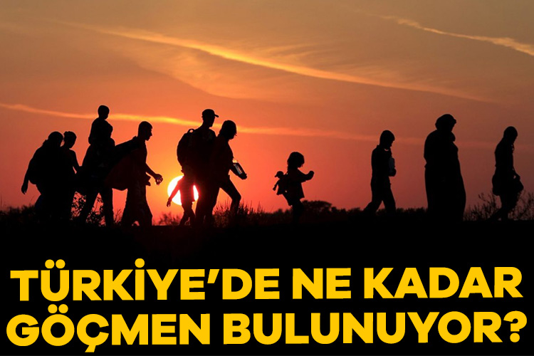 İçişleri Bakanı Ali Yerlikaya, düzensiz göçmenlerin tespitine yönelik İstanbul’da mobil