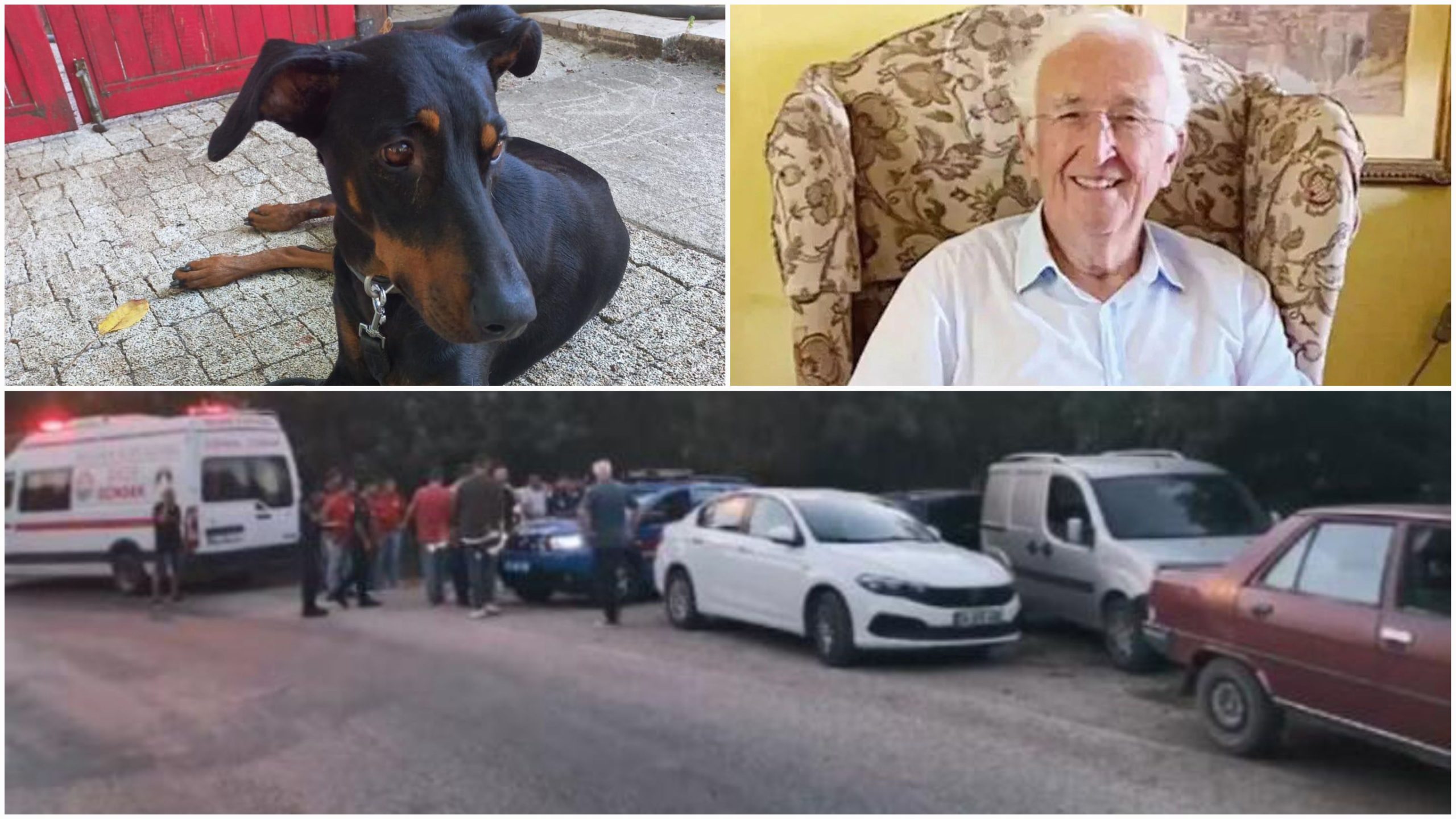 KAYIP EKONOMİST KORHAN BERZEG’İN ARAMA ÇALIŞMALARI TİNA İLE BİRLİKTE YÜRÜTÜLECEK AİLE DOSTUNUN EVİNİN YAKININDA BULUNDU İstanbul’dan geldiği memleketi Balıkesir’in Gönen
