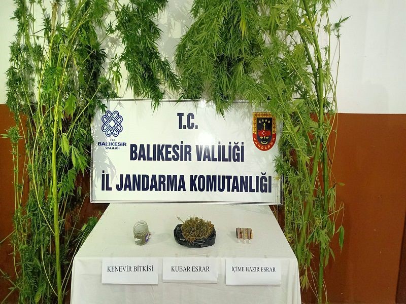 Manyas ve Erdek’te uyuşturucu operasyonu Balıkesir’in Manyas ve Erdek ilçelerinde uyuşturucu madde imal ve ticareti