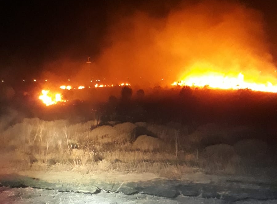 Balıkesir’in Bandırma ilçesinde hayvan barınağının arkasında yer alan ormanlık alanda