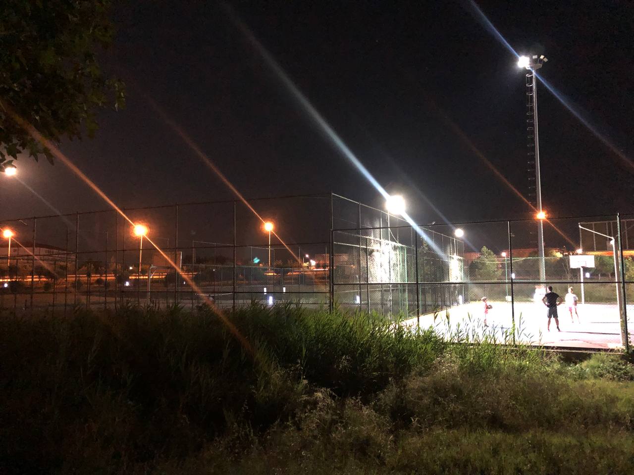 Paşakonak Mahallesi’nde bulunan General Balcı Çamlığı’nda ışıklandırma, temizlik ve sokak