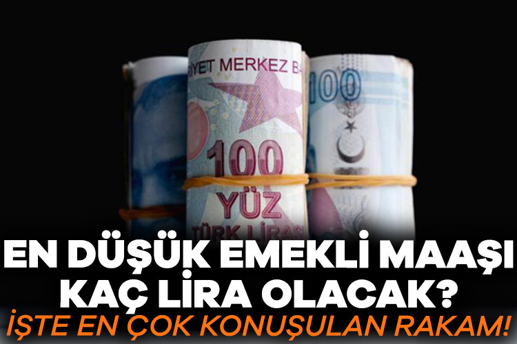 En düşük emekli maaşı kaç lira olacak? İşte en çok konuşulan rakam! Cumhurbaşkanı Erdoğan, emekliler için ‘Onları da inşallah memnun edecek adımları