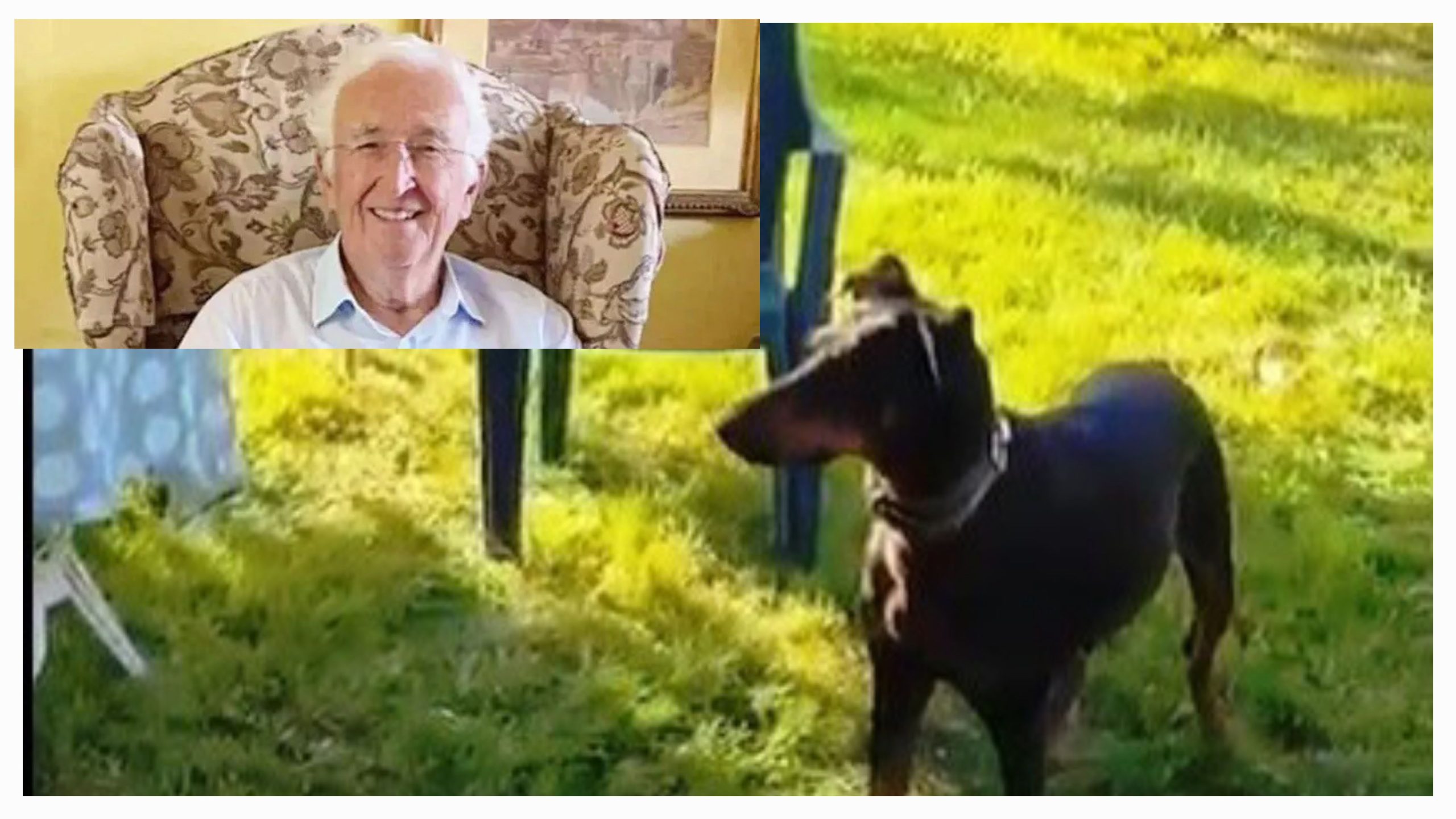 Balıkesir’in Gönen ilçesinde 77 gün önce köpeği Tina ile birlikte