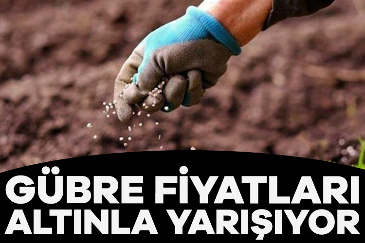 Gübre fiyatları altınla yarışıyor Gübre fiyatlarındaki artış, altın fiyatlarındaki yükselişi geçti. Gram altında 6