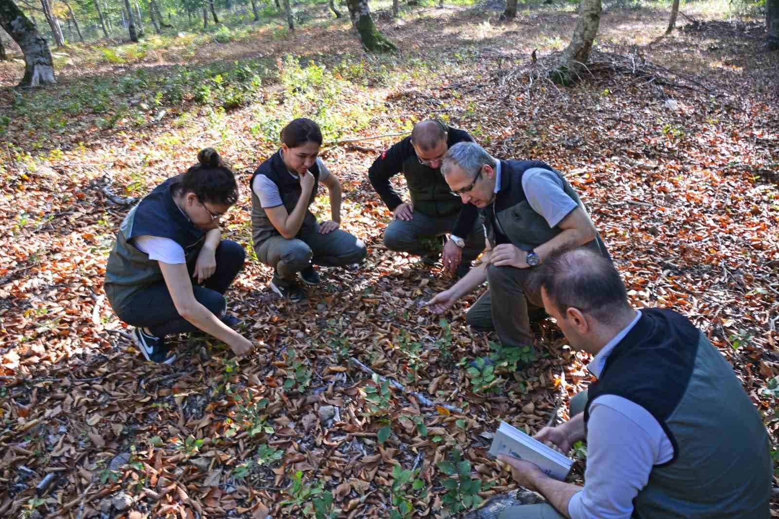 Balıkesir Orman Bölge Müdürü Kemal Kayıran, Gönen Orman İşletme Müdürlüğünde