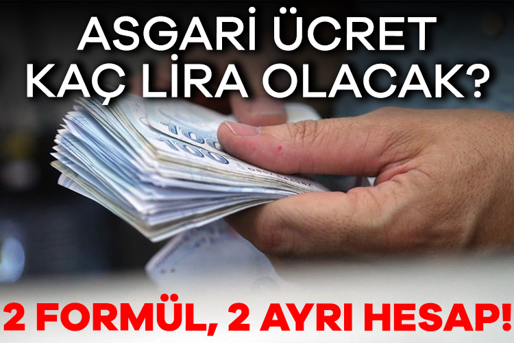 Yeni yılda uygulanacak asgari ücrette emekli zamlarında olduğu gibi yine