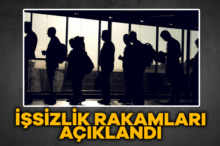 Türkiye’de işsizlik oranı, ağustosta bir önceki aya göre 0,2 puan