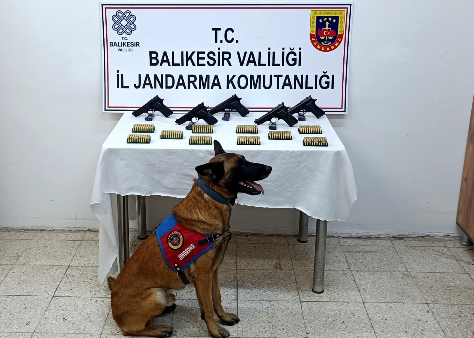 Bomba köpeği ‘Vaha’ kaçak silahları buldu Balıkesir İl Jandarma Komutanlığı ekipleri, Sakarya’dan Balıkesir’e silah ve mühimmat getirmeye çalışan