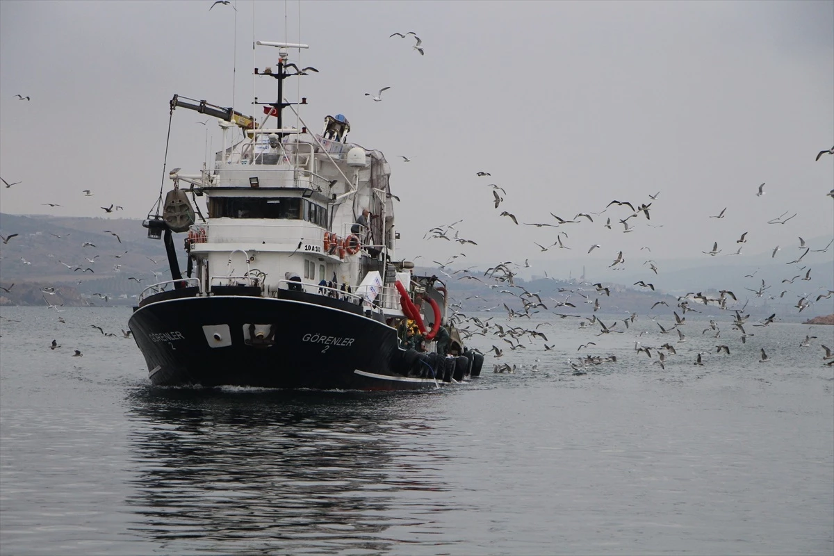 Marmara Denizi’nde fırtınanın dinmesinin ardından Balıkesir’in Bandırma ilçesinde sardalya, hamsi
