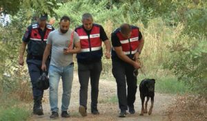 Balıkesir’in Gönen ilçesinde tatil için geldiği yazlık evinden, ‘Tina’ isimli