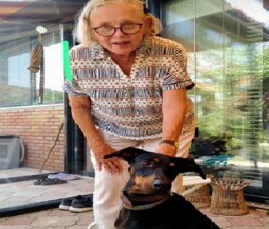 Berzeg’in köpeği ‘Tina’, kaybolmadan önceki haline döndü Berzeg’in köpeği ‘Tina’, kaybolmadan önceki haline döndü. BALIKESİR’de kaybolan ve