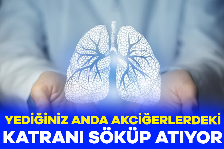 Yediğiniz anda akciğerlerdeki katranı söküp atıyor Akciğerlerinizi sağlıklı tutmak, sağlığınızı korumak için de çok önemlidir. Ancak