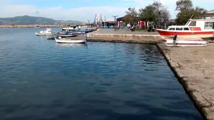 Balıkesir Bandırma Onyedi Eylül Üniversitesi’nden Prof. Dr. Mustafa Sarı, “Şu