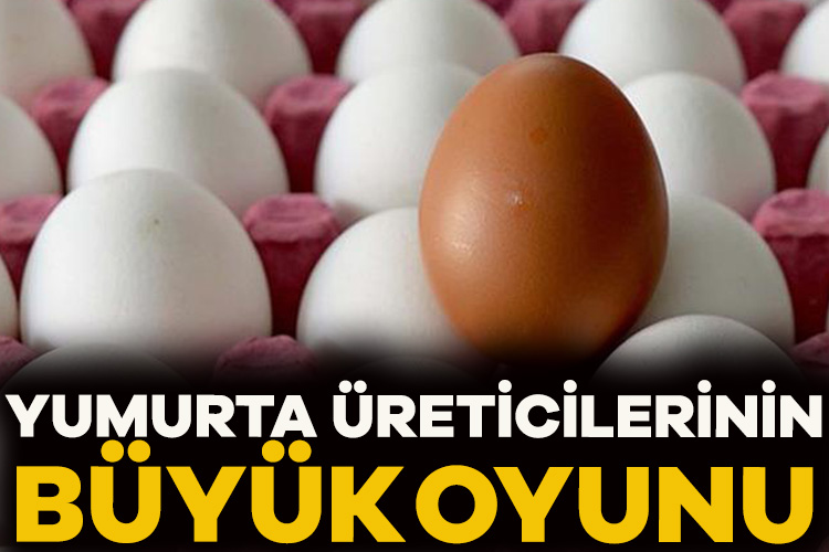 Yumurta üreticileri ve birlikleri hakkında bir buçuk yıl önce başlatılan