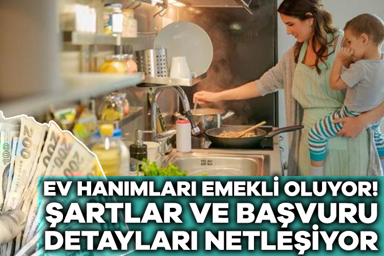 Çalışma ve Sosyal Güvenlik Bakanı Vedat Işıkhan, ev hanımlarına prim