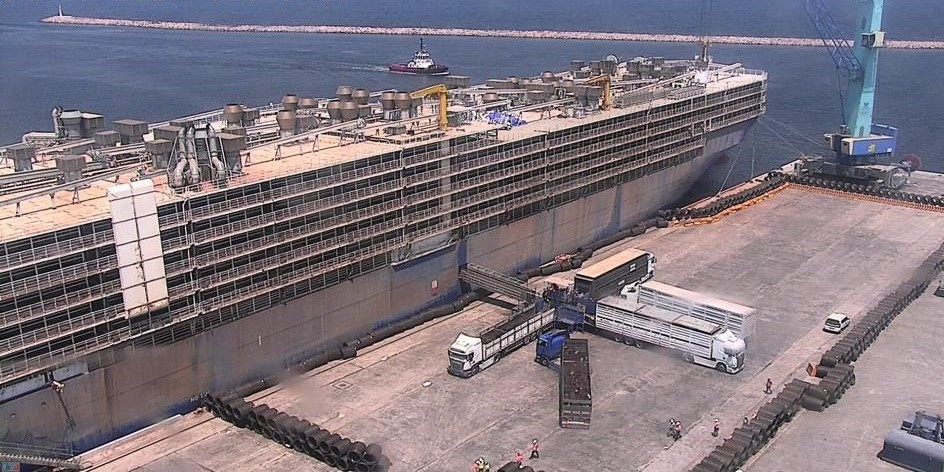 Bandırma Çelebi Limanı’ndan kötü kokular gelmeye devam edecek Bandırma’nın kabusu haline gelen Angus gemileri, 2024 yılı boyunca Bandırma
