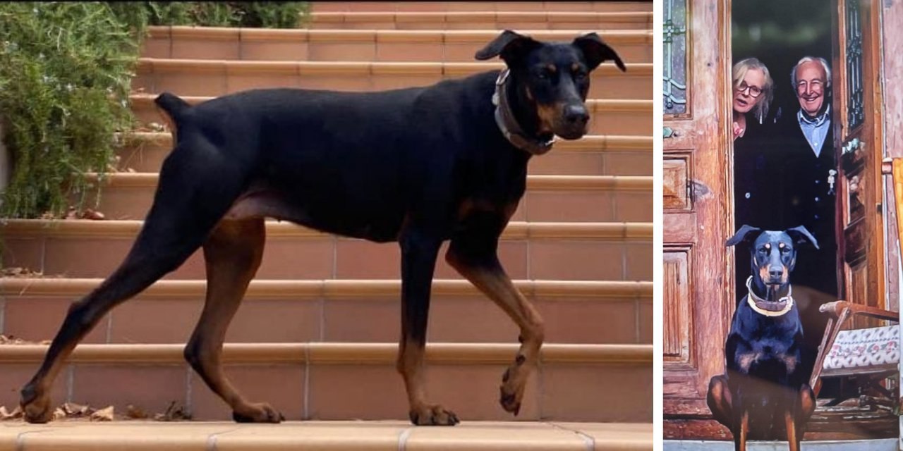 Balıkesir’in Gönen İlçesinde tatil için gittiği yazlık evinden, köpeği Tina