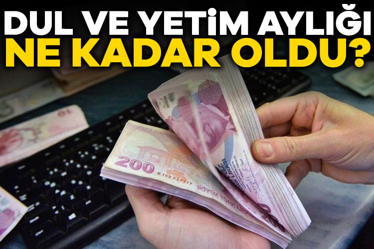 Dul ve yetim maaşı ne kadar oldu? Emekliye ek zam açıklamasının ardından gözler dul ve yetim aylıklarına