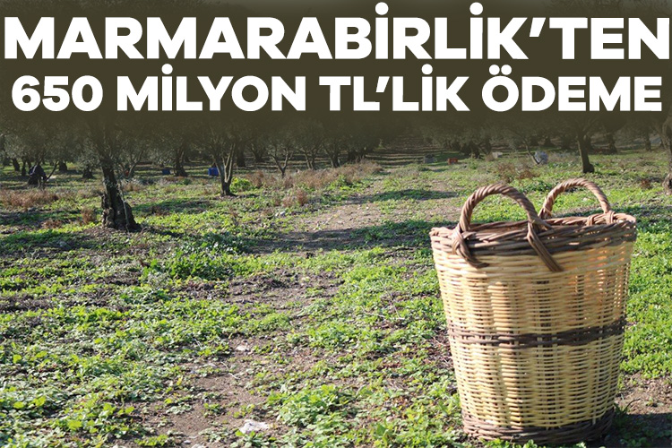 Marmarabirlik’ten 650 milyon TL’lik ödeme Marmarabirlik, 2023/2024 iş yılı ürün alım kampanyasında aldığı ürün bedellerinin