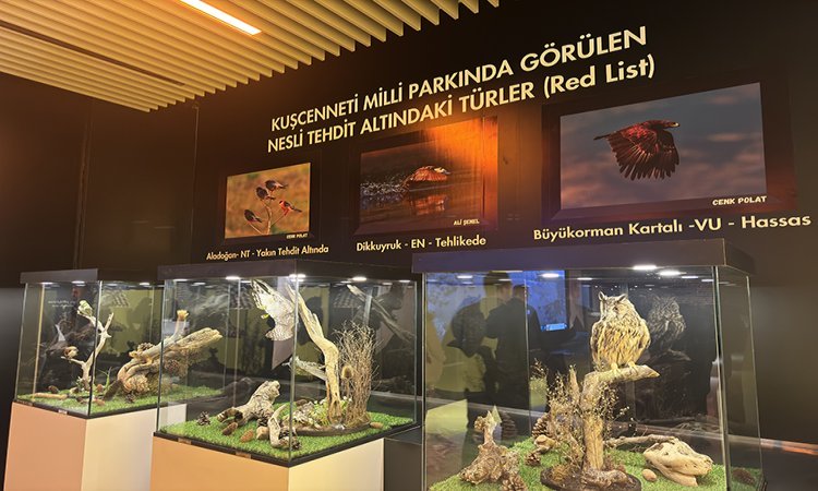 Kuşcenneti Milli Parkı’nda kuş heykeli ve tahnitlerinin sergilendiği bina yenilendi İstanbul Üniversitesi Fen Edebiyat Fakültesi Zooloji Kürsüsü Başkanı Curt Kosswick