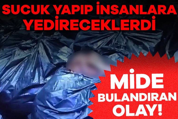 Adana’da mide bulandıran bir olay yaşandı. Ramazan ayı öncesinde Adana’da