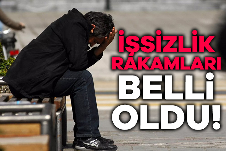 İşsizlik rakamları açıklandı Türkiye’de işsizlik oranı, 2023’te bir önceki yıla göre 1 puan