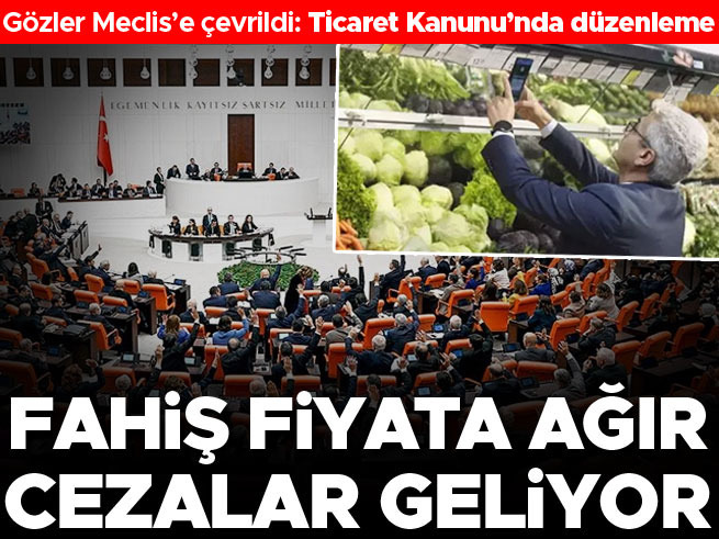 Ticaret Bakanlığı çalışma başlattı… Fahiş fiyata ağır ceza geliyor TBMM’de salı günü 23 Nisan nedeni ile özel oturum gerçekleştirilecek.