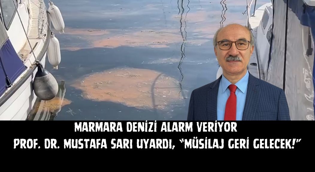 Marmara Denizi Alarm Veriyor: Prof. Dr. Mustafa Sarı uyardı, “Müsilaj Geri Gelecek!” Bandırma Onyedi Eylül Üniversitesi Denizcilik Fakültesi Dekanı Prof. Dr. Mustafa