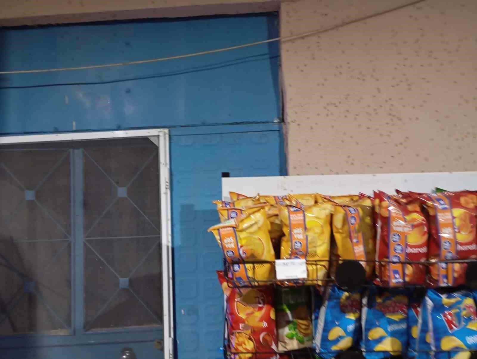 Balıkesir’in Manyas ilçesine bağlı kırsal Köcagöl Mahallesi’ni sivrisinekler istila etti.