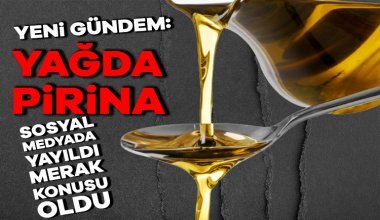 Zeytin çekirdeği ve posasından elde edilen pirina yağının raflarda yeni