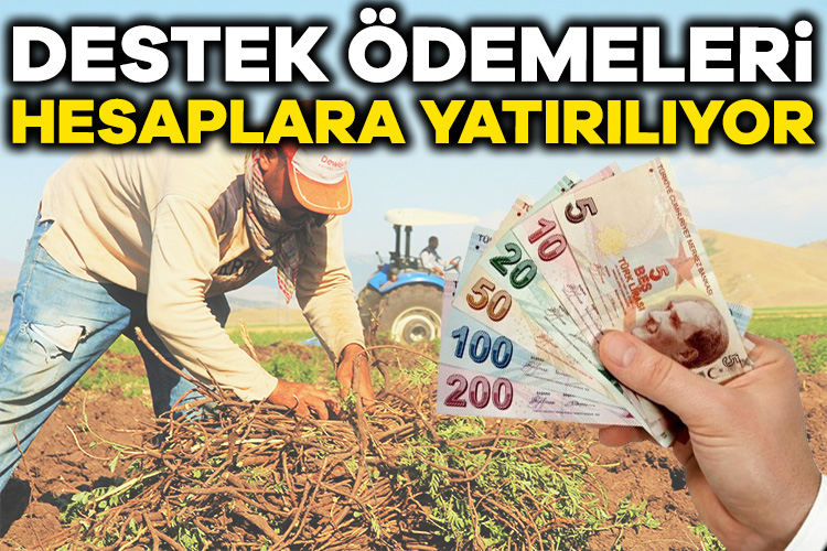 Tarım ve Orman Bakanlığı, çiftçilere yapılan destek ödemelerinin bugün hesaplarına