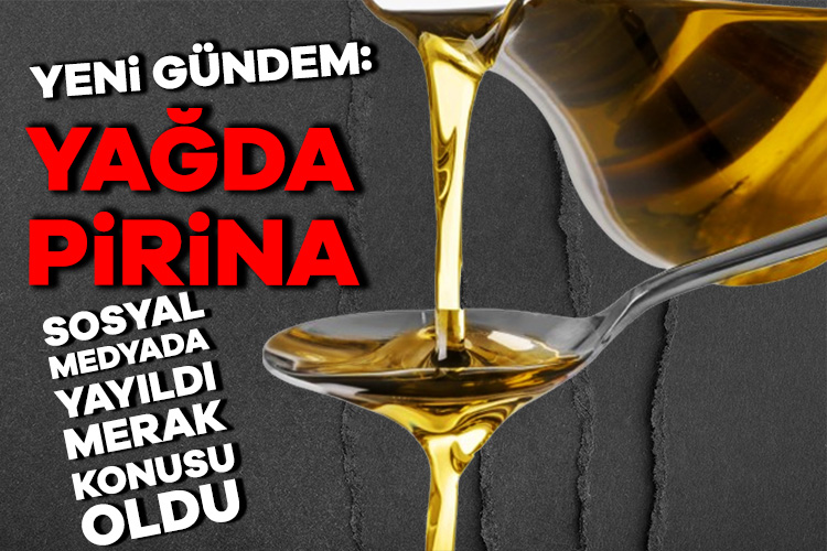 Zeytin posasının yağı sağlıklı mı? Zeytin çekirdeği ve posasından elde edilen pirina yağının raflarda yeni