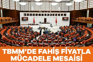 TBMM Genel Kurulunda, fahiş fiyat ve stokçuluk cezalarının artırılmasını da