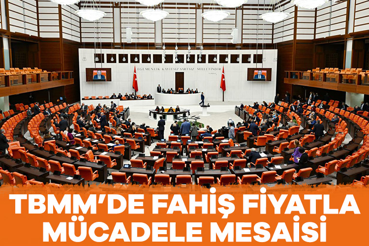 TBMM Genel Kurulunda, fahiş fiyat ve stokçuluk cezalarının artırılmasını da