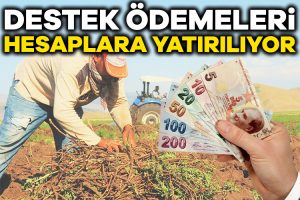 Tarım ve Orman Bakanlığı, çiftçilere yapılan destek ödemelerinin bugün hesaplarına