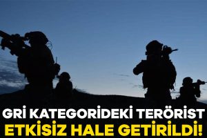 İçişleri Bakanı Ali Yerlikaya, gri listede yer alan terörist Sofi