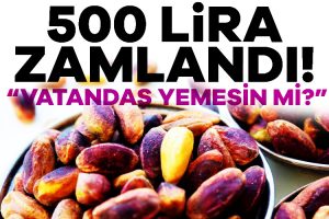 Baklava başta olmak üzere birçok alanda kullanılan Antep fıstığının fiyatı