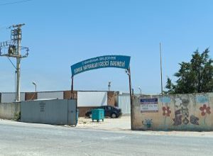 Bandırma Belediyesi’ne ait Sokak Hayvanları Geçici Bakımevi’ndeki koşulların uygun olmadığı